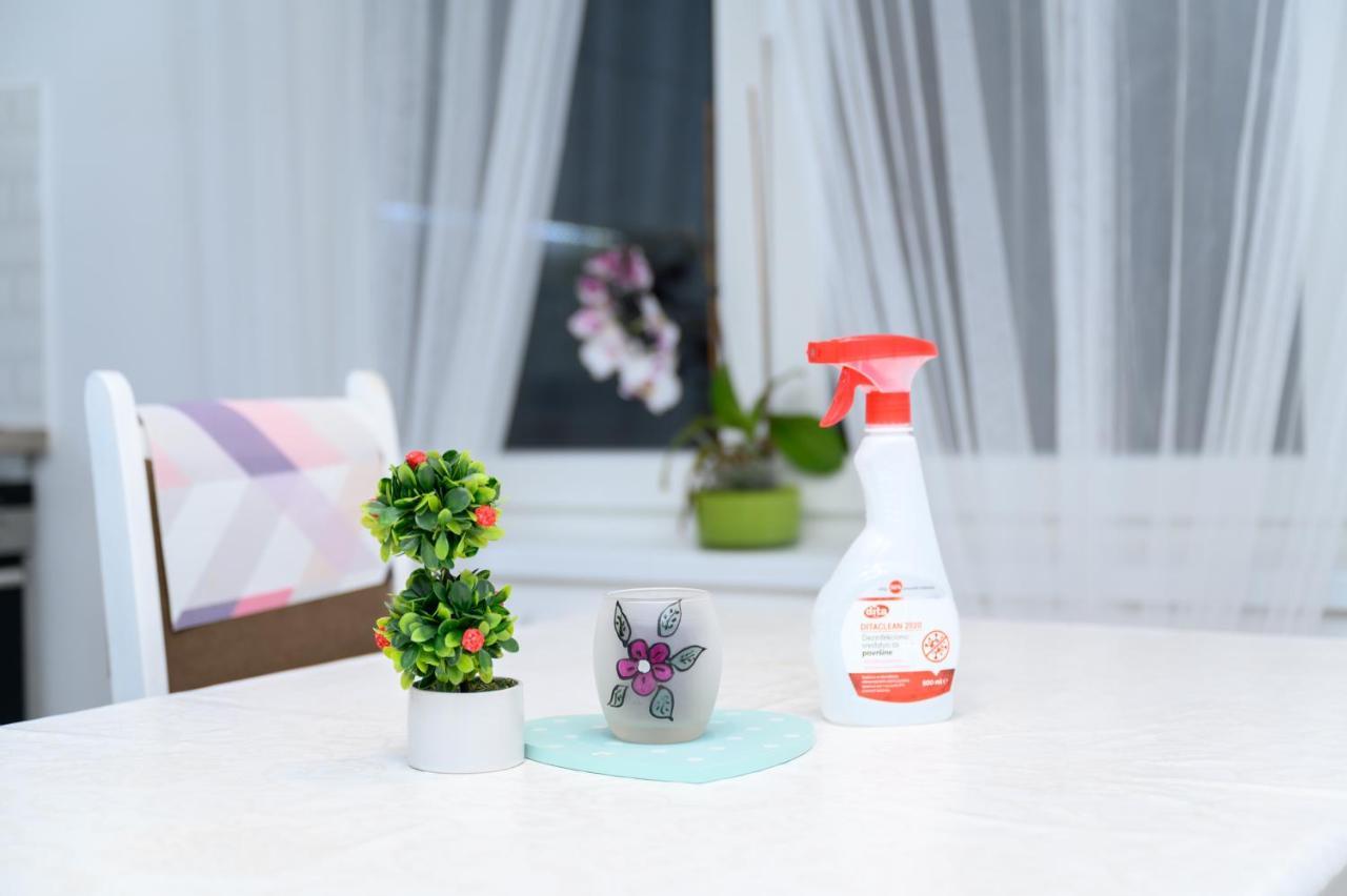 Apartment Kalemova Sarajewo Zewnętrze zdjęcie